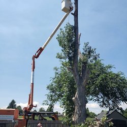 Green Mountain Tree Service