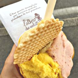 L'albero dei Gelati - Coppetta da 2,70€: Fico settembrino, uva fragolina e zucca!