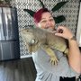 Photo of Tiff's Doggy Daycare & Pet Boarding