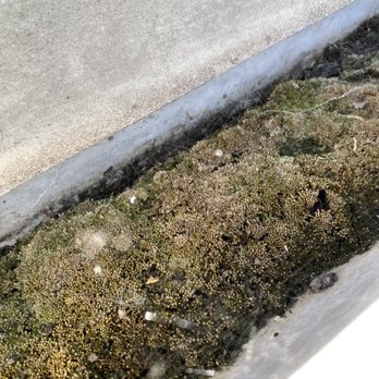 Gutter Guru - Before - Gutter Services Near Me - Carlsbad, California Gutter Guru - Before - Gutter Services Near Me - Carlsbad, California
