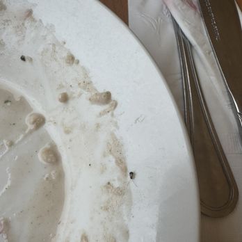 Vees Cafe - Oatmeal Breakfast - Breakfast & Brunch Near Me - Los Angeles, California Vees Cafe - Oatmeal Breakfast - Breakfast & Brunch Near Me - Los Angeles, California