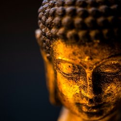 Rocklin Weight Loss - Weight Loss is the journey of self discovery. Meditation, journaling... hiking, breathing, transforming