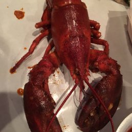 Lobster