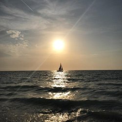 Scruggs Harbor