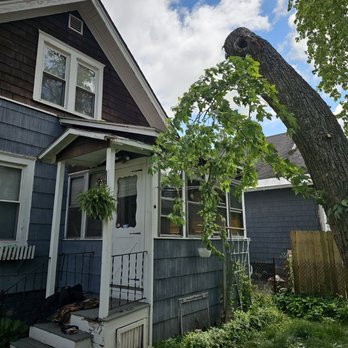 Earth Tenders Tree Care - after - Tree Services Near Me Earth Tenders Tree Care - after - Tree Services Near Me