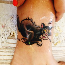 Cat By Dom Cat By Dom