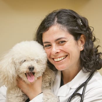 Bergen Veterinary Hospital - Dr. Jennifer Suss - Veterinarians Near Me - Teaneck, New Jersey Bergen Veterinary Hospital - Dr. Jennifer Suss - Veterinarians Near Me - Teaneck, New Jersey