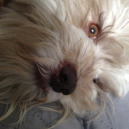 Grady... I hope the $$ you made on the vaccine was worth it.