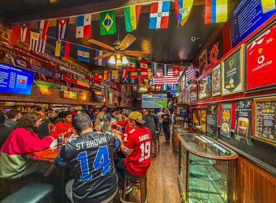 Mad Dog in the Fog by null