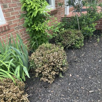 Merrifield Garden Center - Nurseries & Gardening Near Me - Merrifield, Virginia