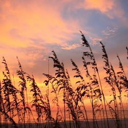 White Sands Beach Resort - Gulf Front - Anna Maria Island
