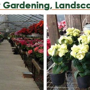 Fritz Farm & Nursery - Nurseries & Gardening Near Me - Joppa, Maryland Fritz Farm & Nursery - Nurseries & Gardening Near Me - Joppa, Maryland