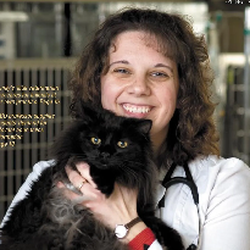 Animal Care Hospital