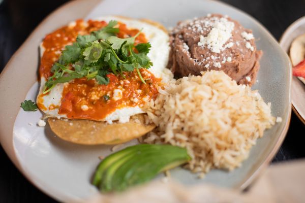 Alejandra's Mexican Cantina by null