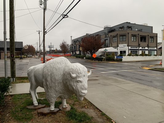 White Bison Coffee by null