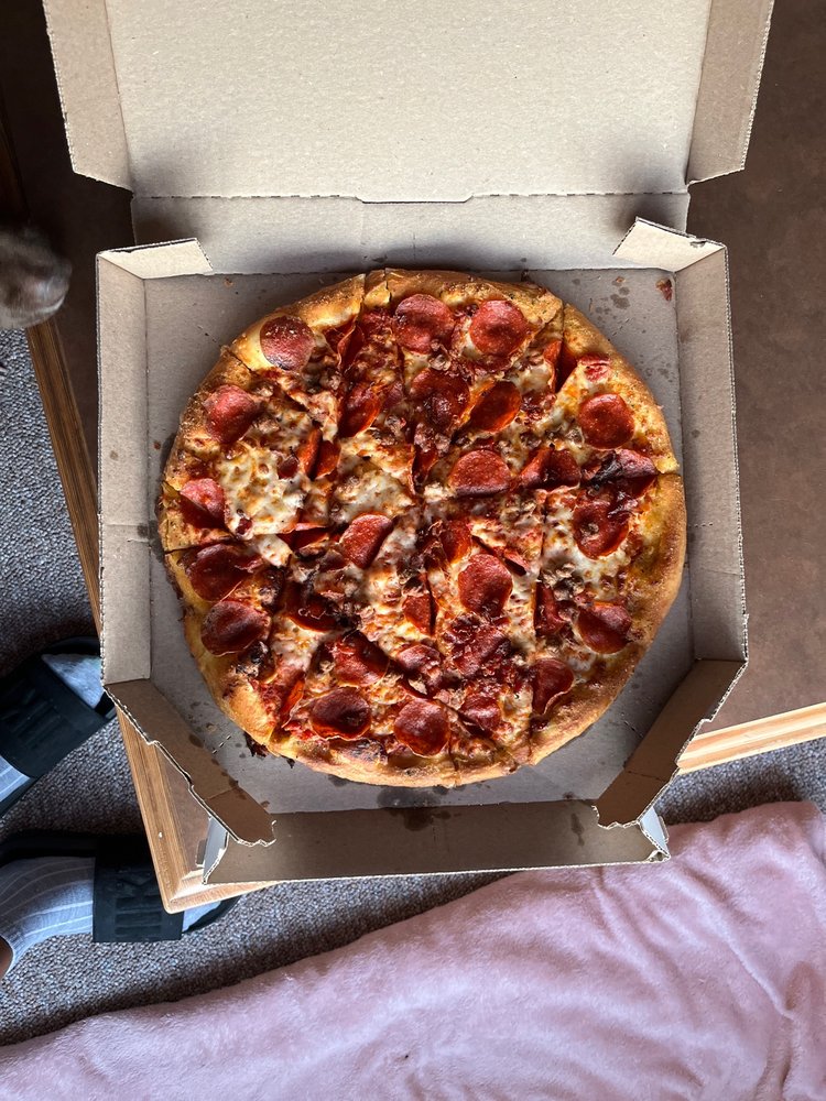 Domino's Pizza Logo