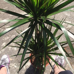 HomeBase - My new friend.