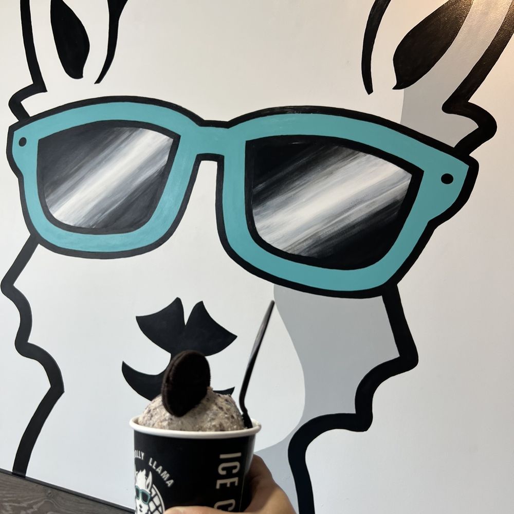 The Dolly Llama - 2 scoops of ice cream = a pint!! - Desserts Near Me - McAllen, Texas The Dolly Llama - 2 scoops of ice cream = a pint!! - Desserts Near Me - McAllen, Texas