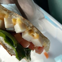 Turkey Italiano