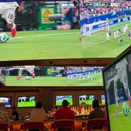 The bar with large TV screen above it. Great for watching the World Cup games.