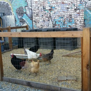 Hauser & Wirth - Manuela Chickens. - Art Galleries Near Me - Los Angeles, California Hauser & Wirth - Manuela Chickens. - Art Galleries Near Me - Los Angeles, California