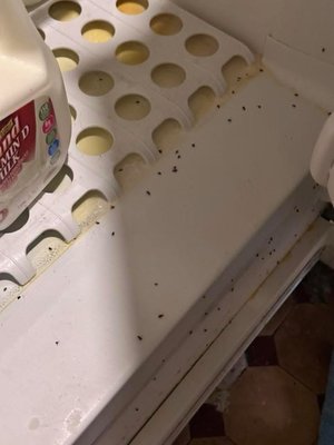 Mokaska Coffee Company by null