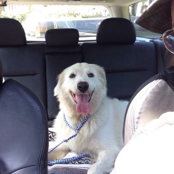 LaMancha Animal Rescue - Animal Shelters Near Me LaMancha Animal Rescue - Animal Shelters Near Me