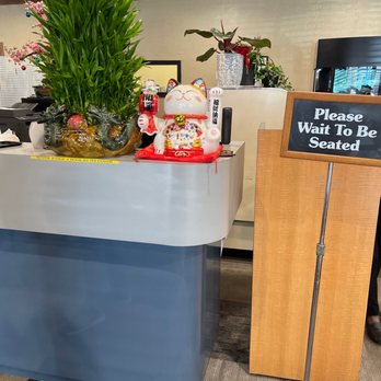 Lido Restaurant - a plant on a counter - Vietnamese Near Me - Oklahoma City, Oklahoma Lido Restaurant - a plant on a counter - Vietnamese Near Me - Oklahoma City, Oklahoma