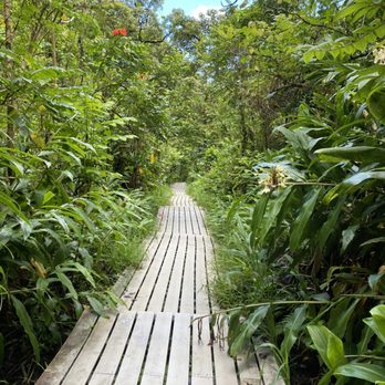 Pipiwai Trail - Hiking Near Me - Hana,, Hawaii