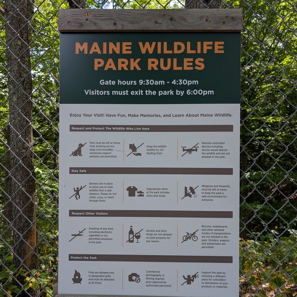 Maine Wildlife Park - Zoos Near Me - Gray, Maine Maine Wildlife Park - Zoos Near Me - Gray, Maine