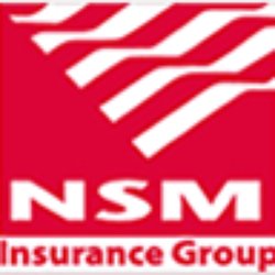 NSM Insurance Group - NSM Insurance Group logo