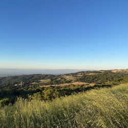 Coal Creek Open Space Preserve
