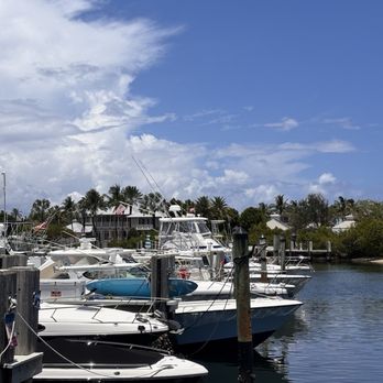 Nauti Dawg - Seafood Near Me - Lighthouse Point, Florida Nauti Dawg - Seafood Near Me - Lighthouse Point, Florida