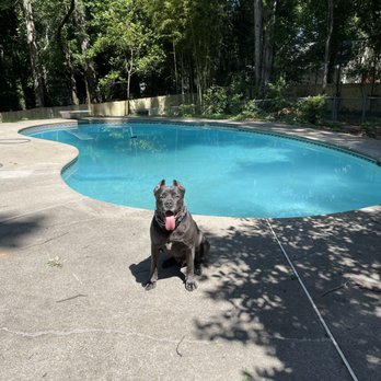 TLC Pool & Spa - After TLC and the Team - Hot Tub & Pool Near Me - Marietta, Georgia TLC Pool & Spa - After TLC and the Team - Hot Tub & Pool Near Me - Marietta, Georgia