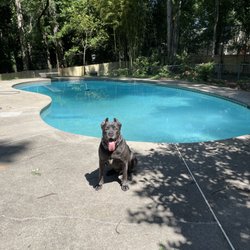 TLC Pool & Spa - After TLC and the Team