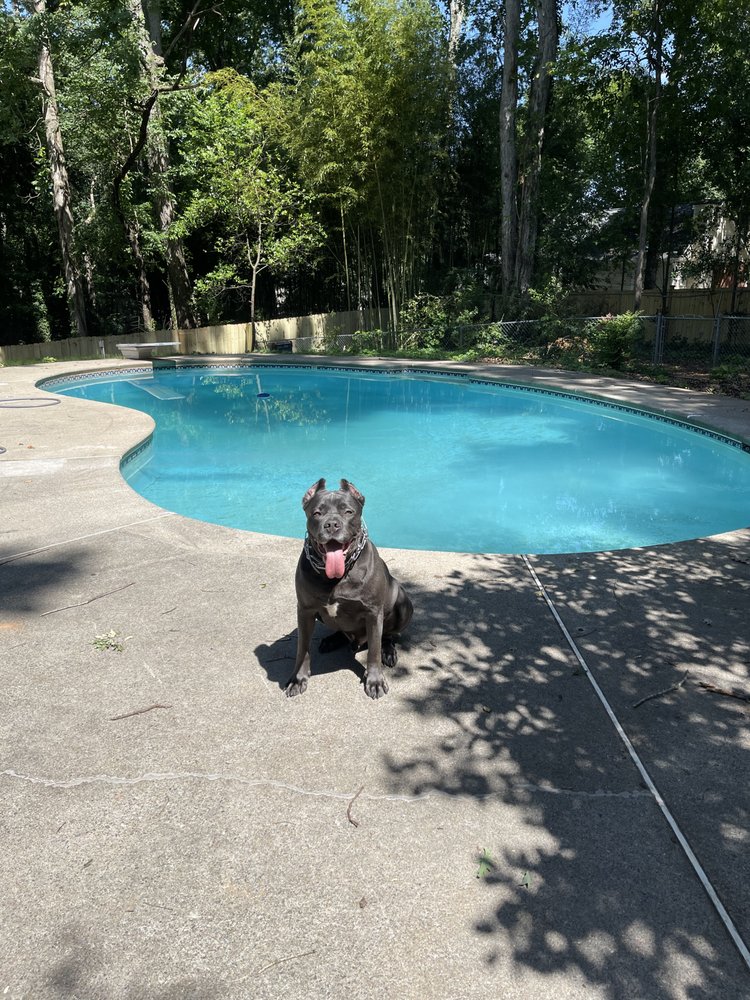TLC POOL & SPA Updated August 2024 15 Photos & 29 Reviews 2323