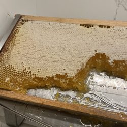Meliá  Serrano - A taste of fresh honey for breakfast