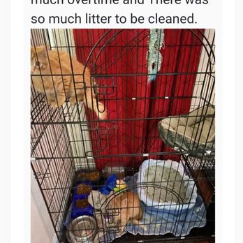High 5 Pet Care - Dog Walkers Near Me - Las Vegas, Nevada High 5 Pet Care - Dog Walkers Near Me - Las Vegas, Nevada
