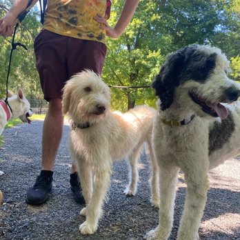 MD Pup Scouts - Dog Walkers Near Me - Annapolis, Maryland MD Pup Scouts - Dog Walkers Near Me - Annapolis, Maryland