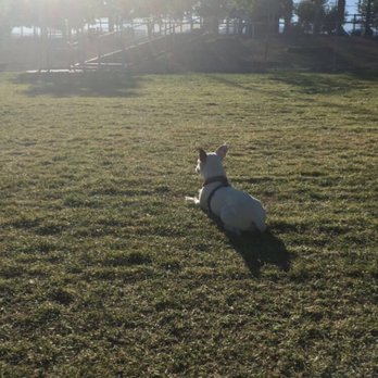 Desert Breeze Dog Park - Loves tanning - Dog Parks Near Me - Las Vegas, Nevada Desert Breeze Dog Park - Loves tanning - Dog Parks Near Me - Las Vegas, Nevada
