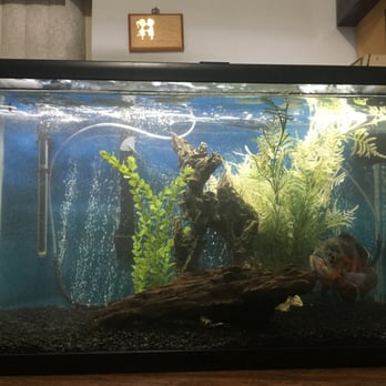 Aqua Biz - AFTER!!! - Aquarium Services Near Me - Sylmar, California Aqua Biz - AFTER!!! - Aquarium Services Near Me - Sylmar, California