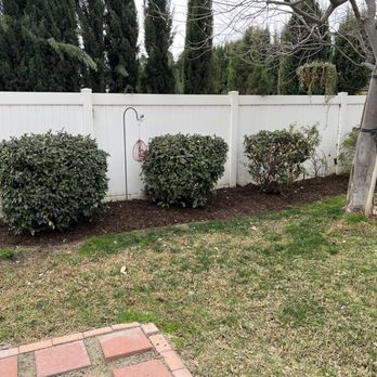 Golden View Tree Care - Tree Services Near Me - Norco, California Golden View Tree Care - Tree Services Near Me - Norco, California