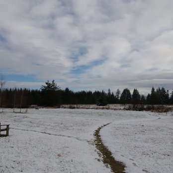 Northwest Vipassana Center - Dhamma Kunja - Meditation Centers Near Me - Onalaska, Washington Northwest Vipassana Center - Dhamma Kunja - Meditation Centers Near Me - Onalaska, Washington