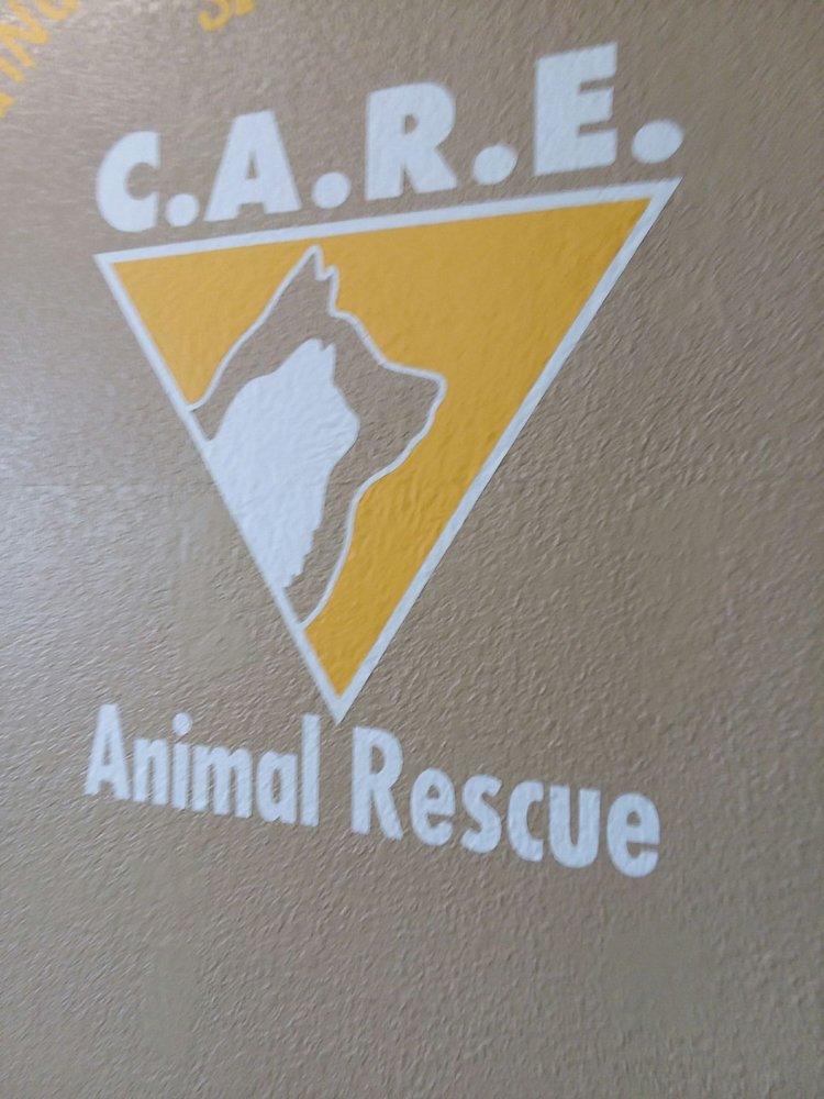 CARE CASTAWAY ANIMAL RESCUE EFFORT Updated August 2024 1328 W Sunshine St, Springfield