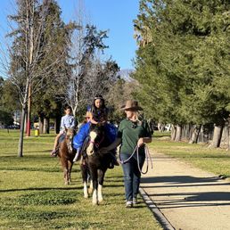 A walk in the park with such kind and beautifully groomed ponies. A walk in the park with such kind and beautifully groomed ponies.