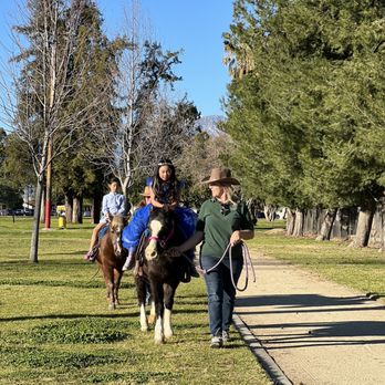 Party Ponies And Pets - A walk in the park with such kind and beautifully groomed ponies. - Kids Activities Near Me - Pinon Hills , California Party Ponies And Pets - A walk in the park with such kind and beautifully groomed ponies. - Kids Activities Near Me - Pinon Hills , California
