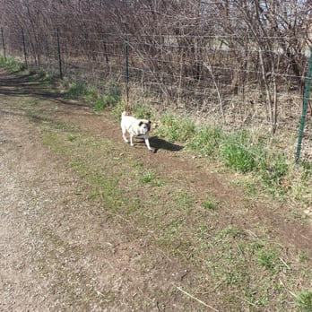 Heritage Park - Working off the pugitude! - Dog Parks Near Me - Olathe, Kansas Heritage Park - Working off the pugitude! - Dog Parks Near Me - Olathe, Kansas