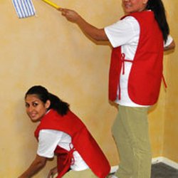 Royal Flush Cleaning - "Let Royal Flush polish your full house"