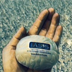 Life Well Lived:Brain Renewal Center - IASIS microcurrent neurofeedback stress brain
