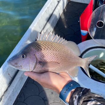 Florida Fish Invaders Charters - Boat Charters Near Me Florida Fish Invaders Charters - Boat Charters Near Me